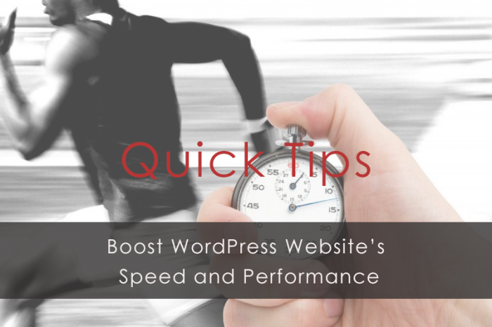 Performance of WordPress Website