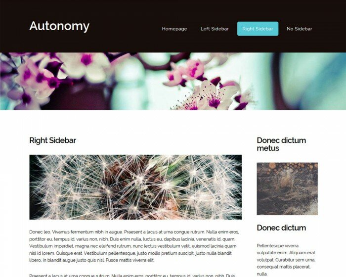 Autonomy template