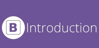 Bootstrap introduction