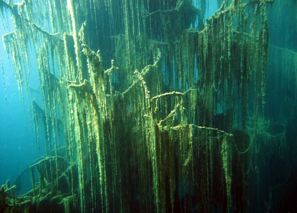 The underwater forest of Lake Kaindy 2