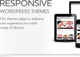 30 Best Responsive WordPress Themes